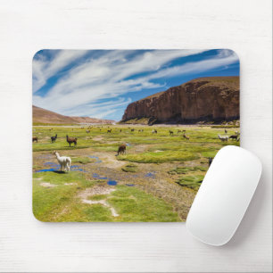 Gebirge Bolivian Andes Mousepad