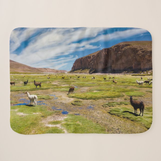 Gebirge | Bolivian Andes Sherpadecke (Vorderseite (Horizontal))