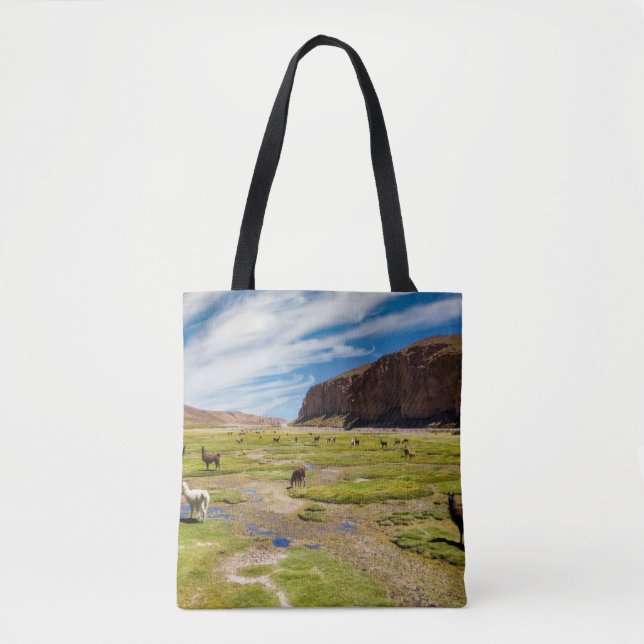 Gebirge | Bolivian Andes Tasche (Vorderseite)