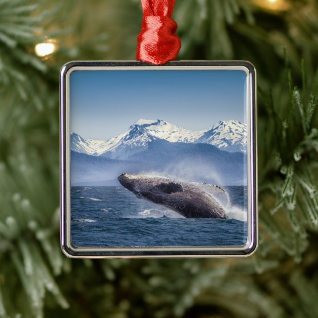 Gebirge | Breaching Whale Glacier Bay, Alaska Ornament Aus Metall (Baum)