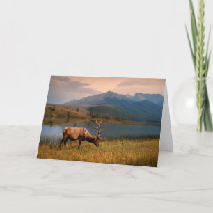 Gebirge Jacques Mountain Range Alberta Kanada Karte