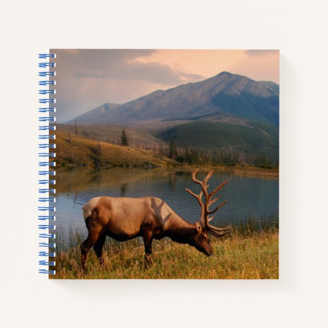 Gebirge | Jacques Mountain Range Alberta Kanada Notizbuch (Vorderseite)