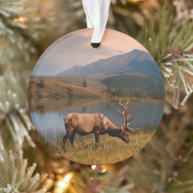 Gebirge | Jacques Mountain Range Alberta Kanada Ornament (Baum)