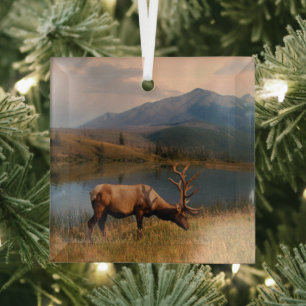 Gebirge   Jacques Mountain Range Alberta Kanada Ornament Aus Glas