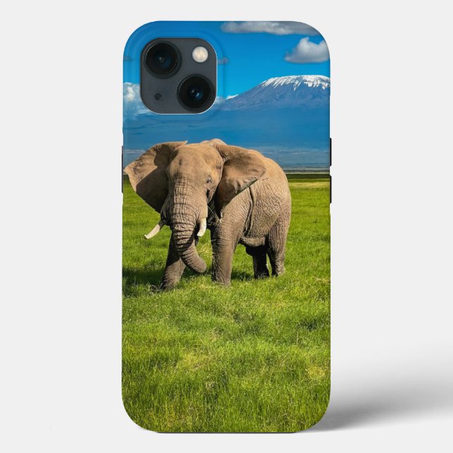 Gebirge | Kilimanjaro Tansania, Afrika Case-Mate iPhone Hülle (Rückseite)