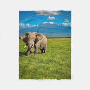 Gebirge Kilimanjaro Tansania, Afrika Fleecedecke