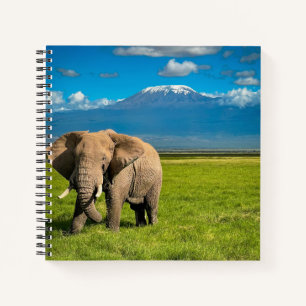 Gebirge   Kilimanjaro Tansania, Afrika Notizbuch