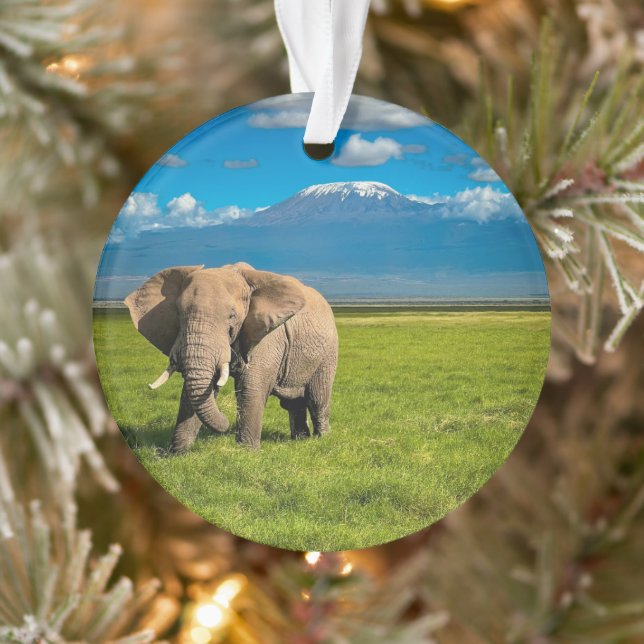 Gebirge | Kilimanjaro Tansania, Afrika Ornament (Baum)