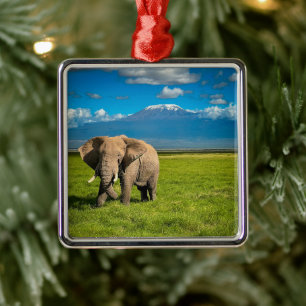 Gebirge Kilimanjaro Tansania, Afrika Ornament Aus Metall