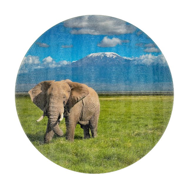 Gebirge | Kilimanjaro Tansania, Afrika Schneidebrett (Vorderseite)