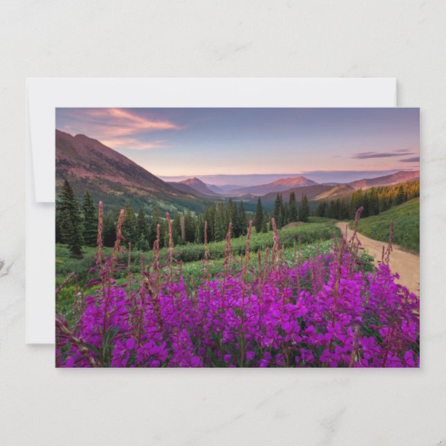 Gebirge | Rocky Mountains, Colorado Dankeskarte (Vorderseite)