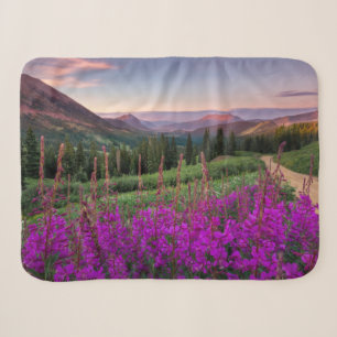 Gebirge Rocky Mountains, Colorado Sherpadecke