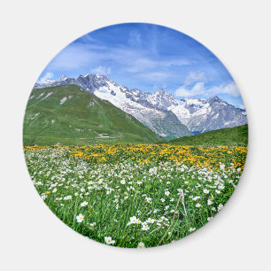 Gebirge Schweizer Alpenfrühling Magnet