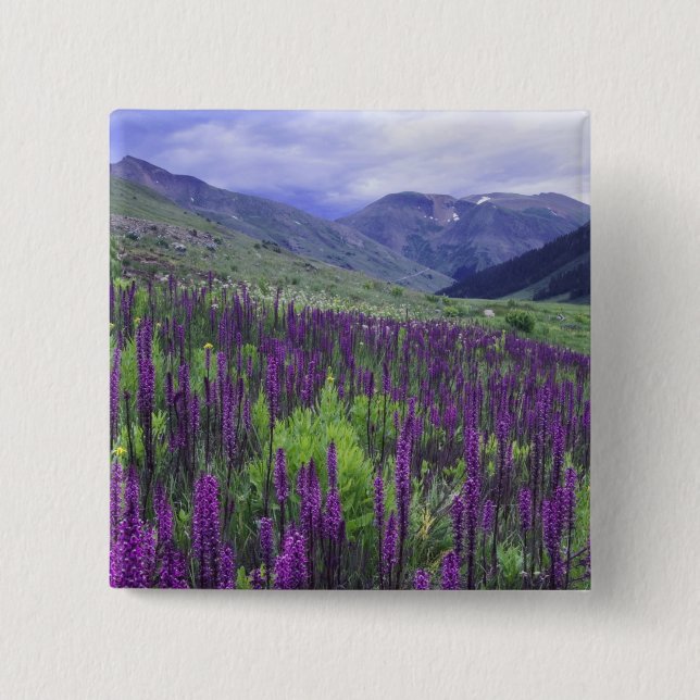 Gebirge und Wildblumen auf Almwiesen, 2 Button (Vorderseite)