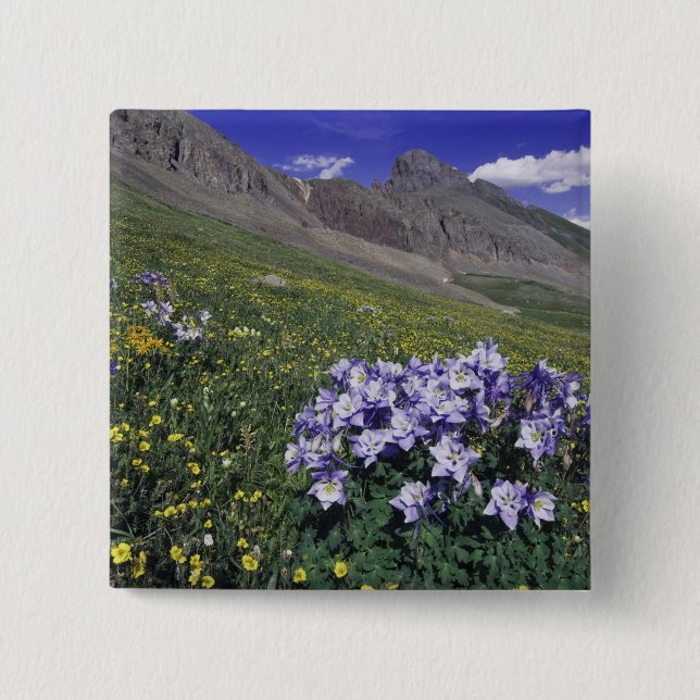 Gebirge und Wildblumen auf Almwiesen, blau Button (Vorderseite)