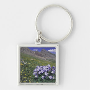 Gebirge und Wildblumen auf Almwiesen, blau Schlüsselanhänger