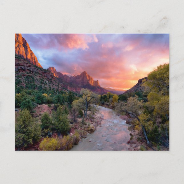 Gebirge | Watchman Zion Nathional Park Utah Postkarte (Vorderseite)