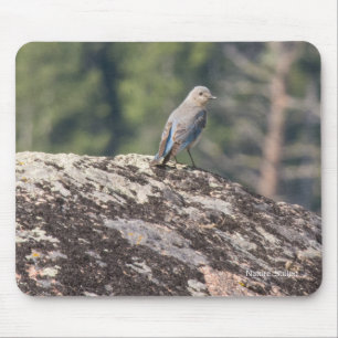 Gebirgsdrossel auf Granit Mousepad
