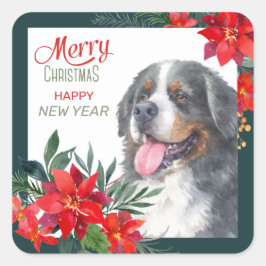 Gebirgshund Poinsettia Quadratischer Aufkleber