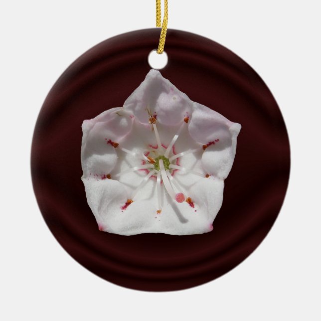 Gebirgslorbeer-Blume ~ Verzierung Keramik Ornament (Vorne)