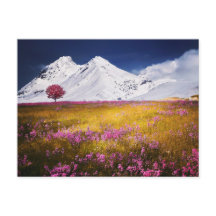 GEBIRGSMOTIV FELDBLUMEN LANDSCHAFT POSTCROSSING
