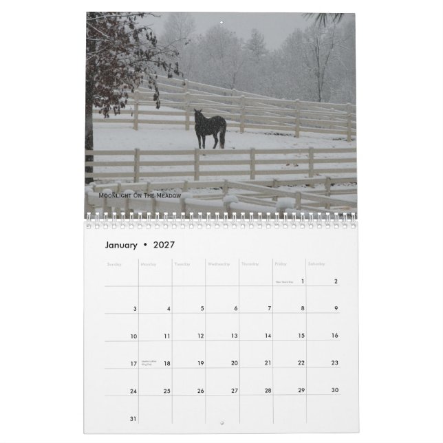 Gebirgspferde 2012 kalender (Jan 2027)