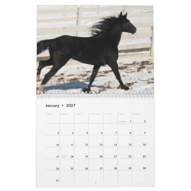 Gebirgspferdekalender 2014 kalender (Jan 2027)