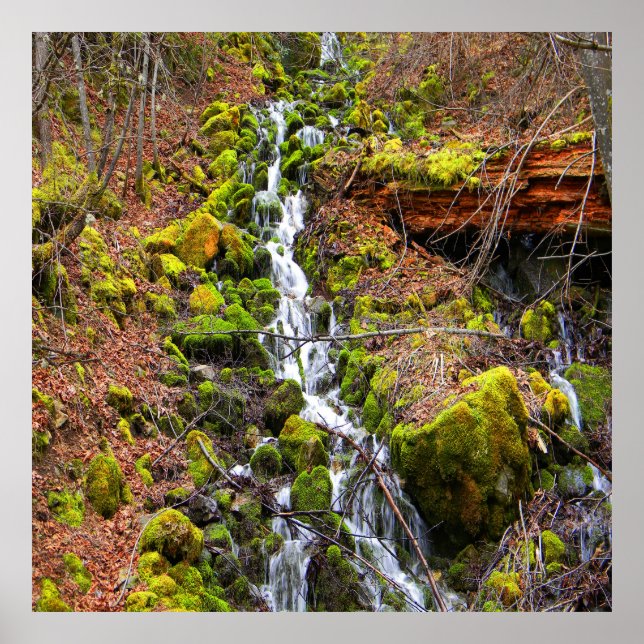 Gebirgsquelle Wasserfall.... Poster (Vorne)