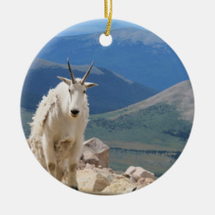 Gebirgsziege Keramik Ornament