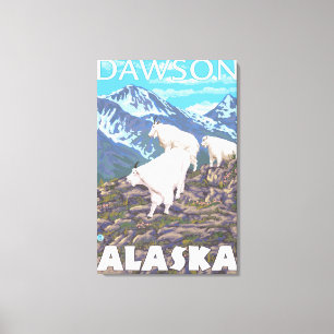 Gebirgsziegen-Szene - Dawson, Alaska Leinwanddruck