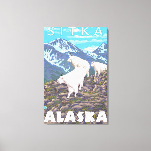 Gebirgsziegen-Szene - Sitka, Alaska Leinwanddruck
