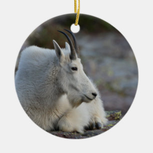 Gebirgsziegenstillstehen Keramikornament