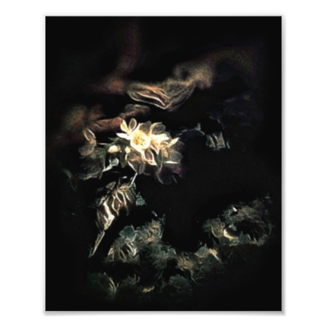 gebläht fotodruck (Vorne)