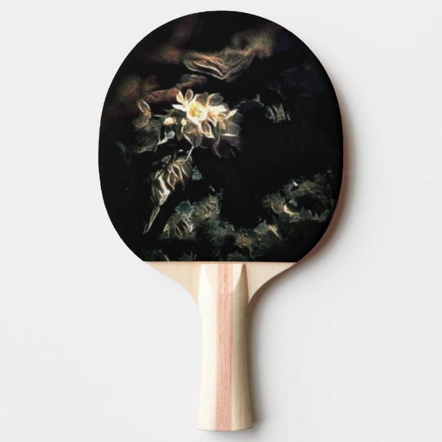 gebläht tischtennis schläger (Vorderseite)