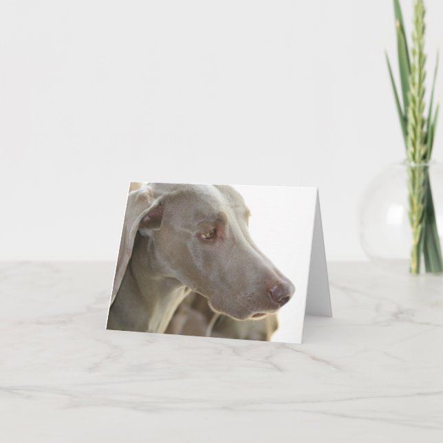 Gebohrte Weimaraner Anmerkungs-Karte Karte (Vorderseite)