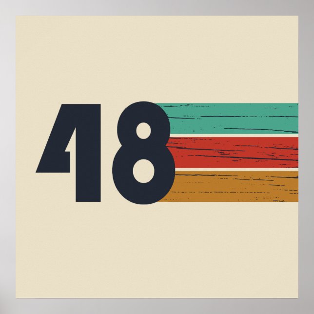Geboren 1948 Vintager Geburtstag Poster (Vorne)