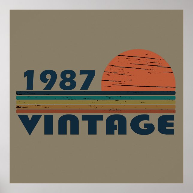 geboren 1987 Vintage Geburtstagsgeschenke Poster (Vorne)