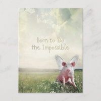 Geboren um das Unmögliche zu tun Flying Pig