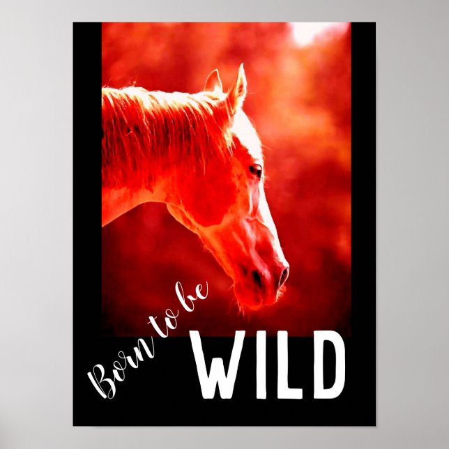 Geboren, Wild Nah-up Horse zu sein Poster (Vorne)