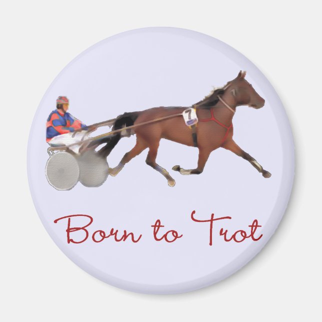 Geboren zu Trot Magnet (Vorne)