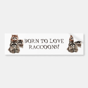 GEBOREN ZUR LIEBE RACCOONS FUNNY TIERQUOTE AUTOAUFKLEBER
