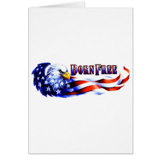 Geborener freier kahler Adler und USA-Flagge