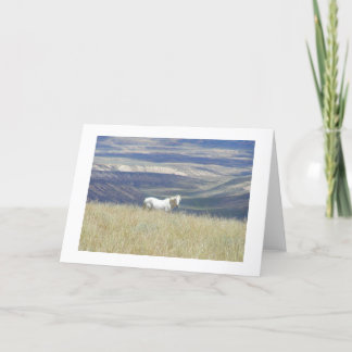 Geborenes freies Mustang-Pferd Karte