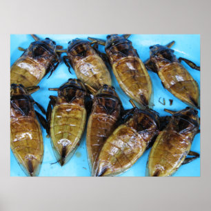 Gebratene Riesenwanze (Maeng Daa) ... Asiatisches Poster