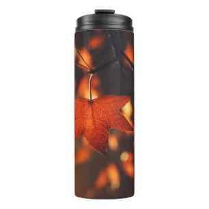 GEBRAUCHTE PFLANZE THERMOSBECHER