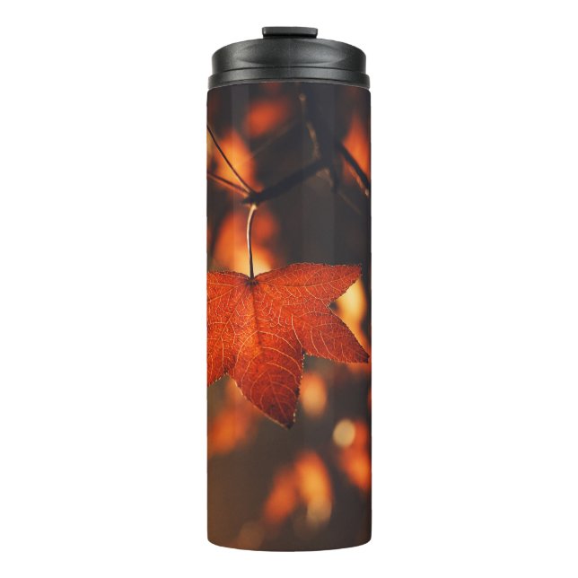 GEBRAUCHTE PFLANZE THERMOSBECHER (Vorderseite)