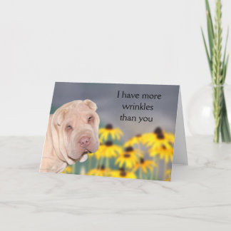 Gebrinkltes Shar Pei Geburtstag Karte