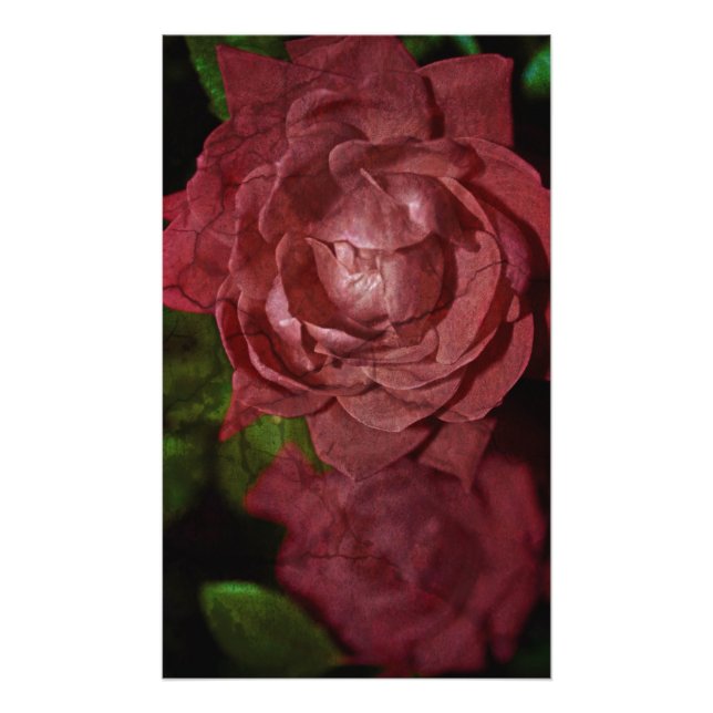 Gebrochene Rote Rose Fotodruck (Vorne)