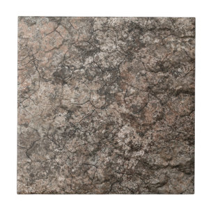 Gebrochener trockener fliese