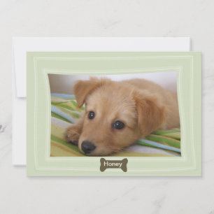 Gebt einem Hund ein Foto mit Knochen Ankündigung